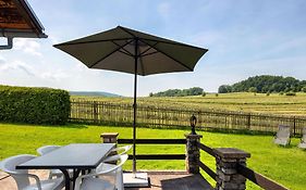 Holiday Home In Thuringia With Garden